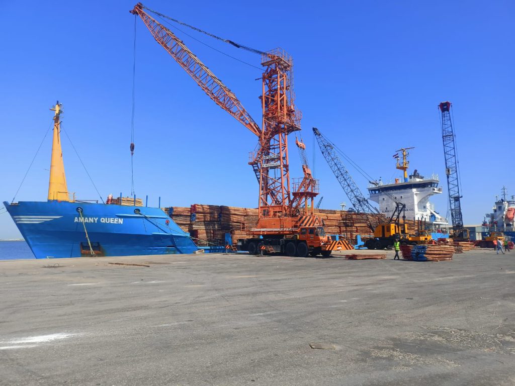 Offloading beech wood at Damietta port